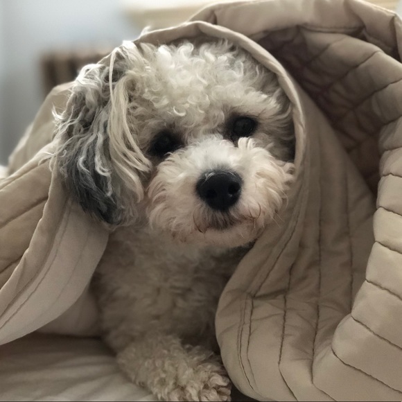 Meet your Posher, Monika - Picture 1 of 1